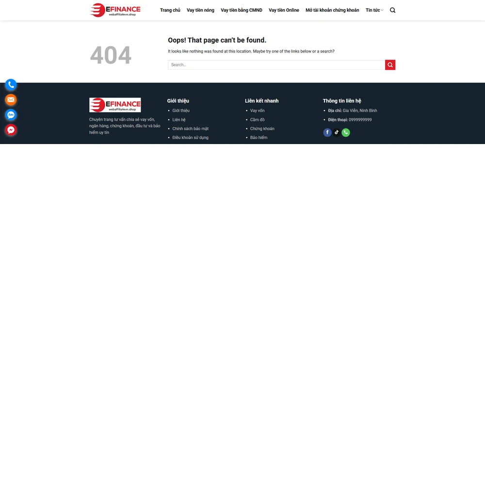 Mẫu website tài chính cho vay tiền Efinance