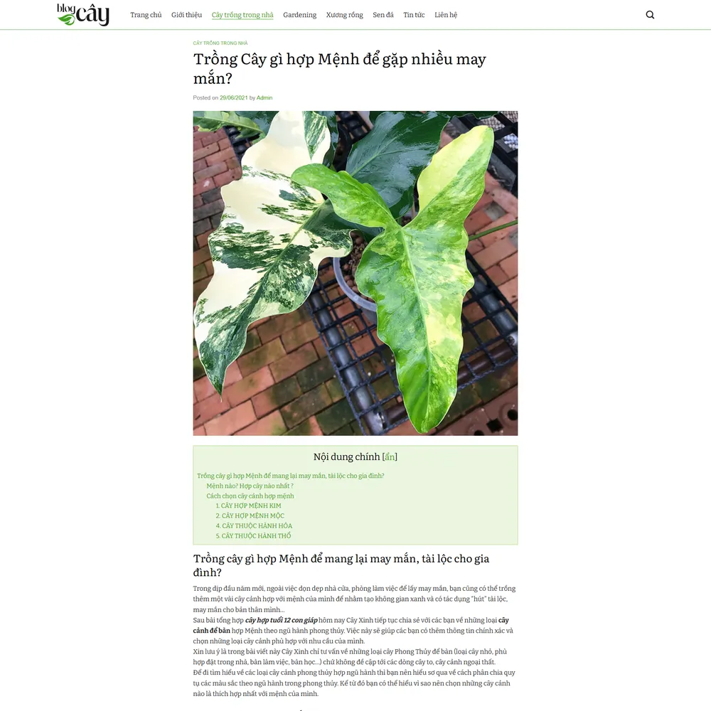 Mẫu website tin tức blog cho người yêu cây Xanh Me