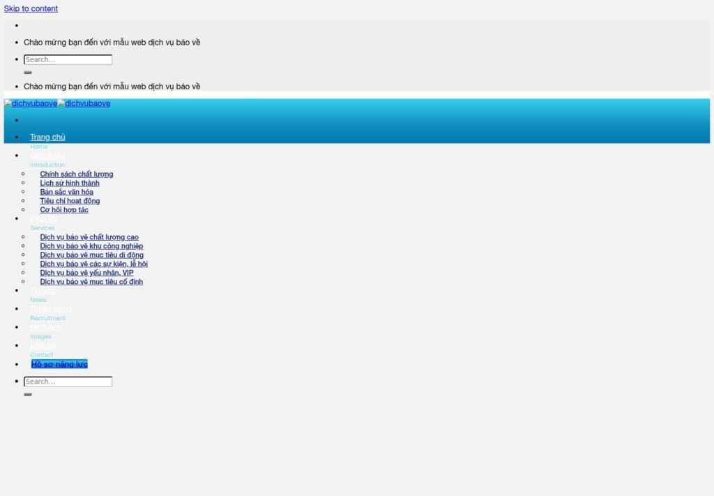 Mẫu website DICHVUBAOVE