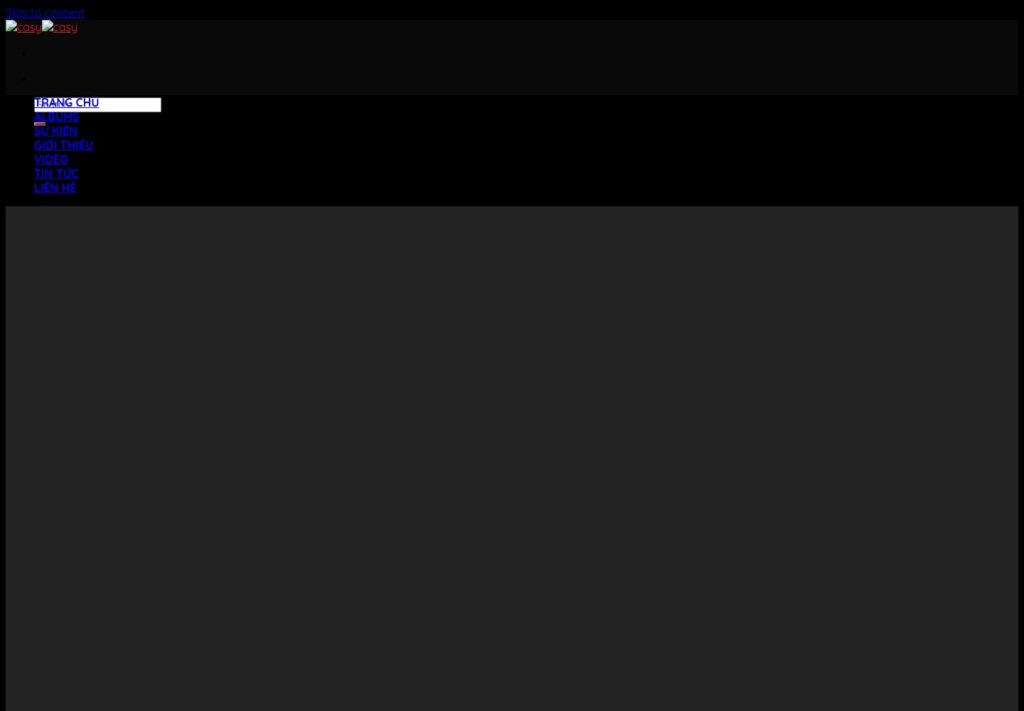 Mẫu website CASY