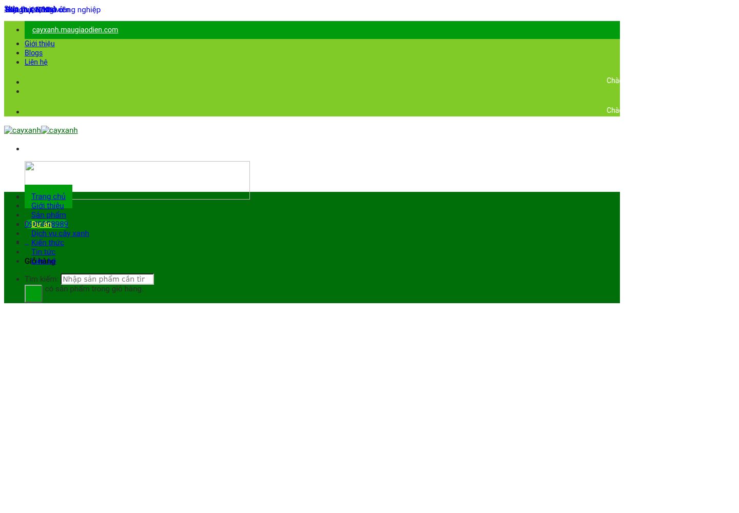 Mẫu website CAYXANH