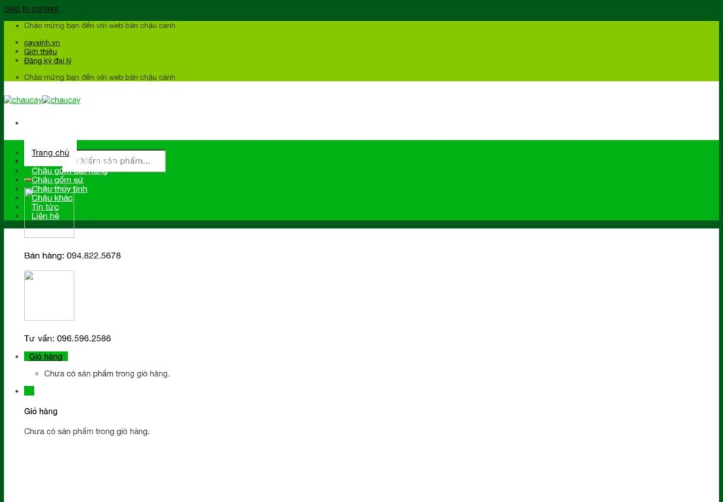 Mẫu website CHAUCAY