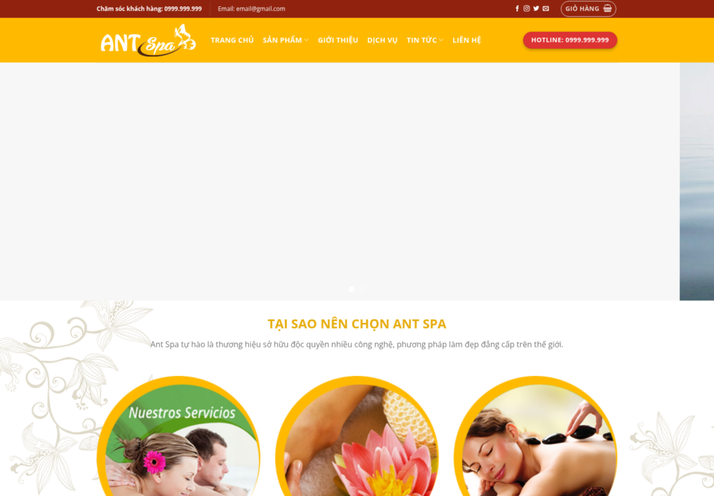 Mẫu website spa chăm sóc sắc đẹp