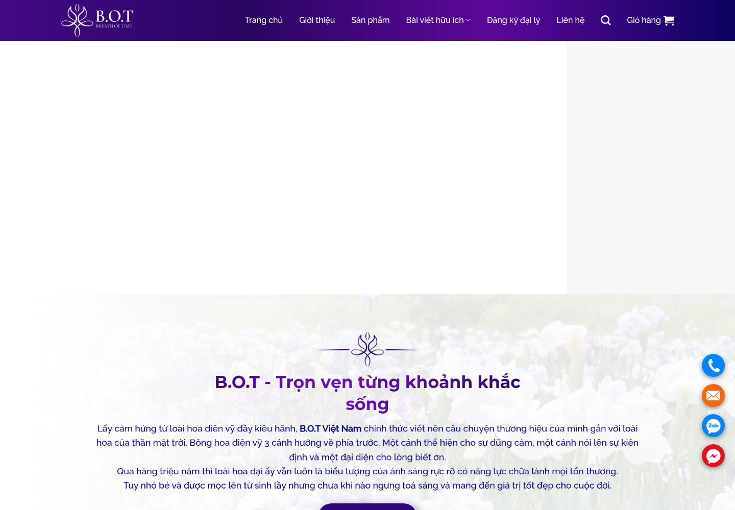 Mẫu website thực phẩm chức năng B.O.T