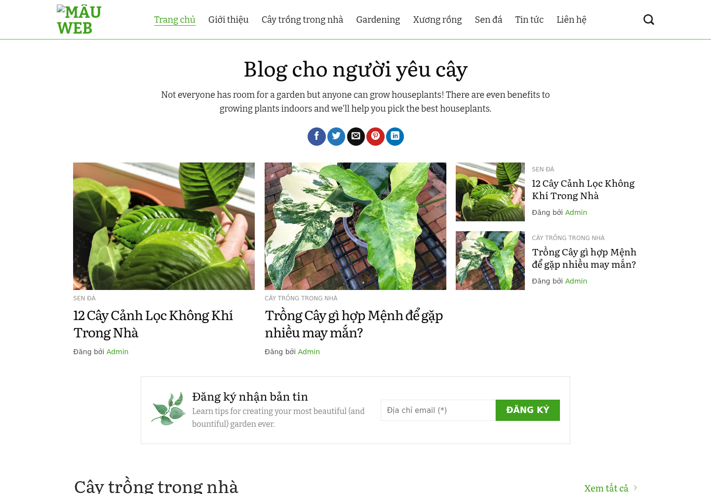 Mẫu website blog cây cảnh